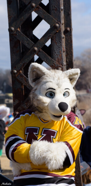 146_M7D_2717
