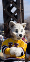 146_M7D_2717 