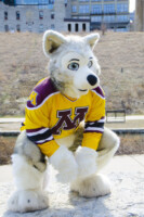 148_Fursuit Romp Mar 19 2016-383 