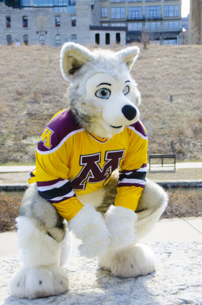148_Fursuit Romp Mar 19 2016-383