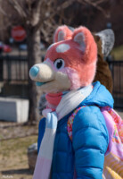 149_M7D_2616 