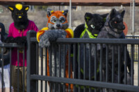 169_Fursuit Romp Mar 19 2016-413 