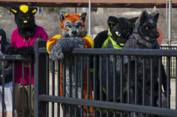 169_Fursuit Romp Mar 19 2016-413