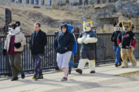 172_Fursuit Romp Mar 19 2016-375 