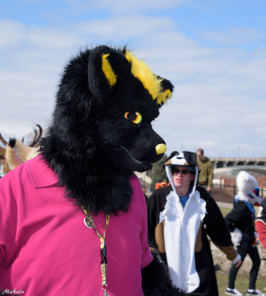 174_M7D_2539
