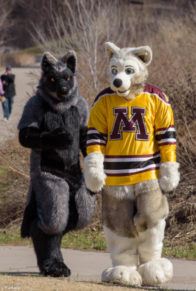 184_M7D_2708