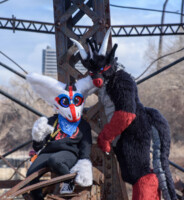 186_M7D_2743 