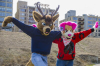187_Fursuit Romp Mar 19 2016-387 