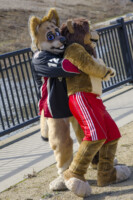 194_Fursuit Romp Mar 19 2016-434 