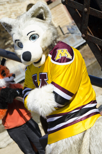 206_Fursuit Romp Mar 19 2016-537