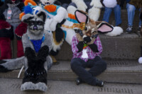 207_Fursuit Romp Mar 19 2016-667 