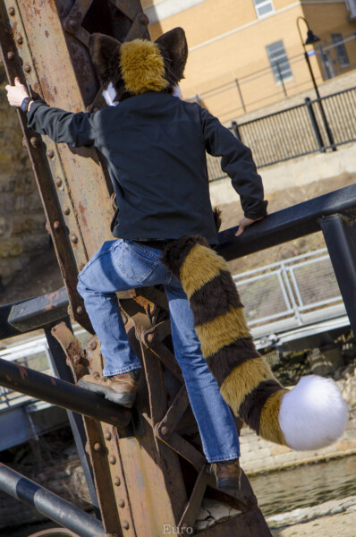 209_Fursuit Romp Mar 19 2016-528