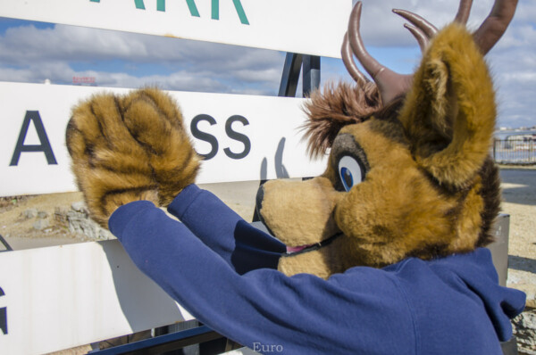 214_Fursuit Romp Mar 19 2016-638