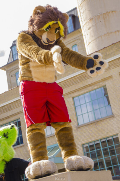 216_Fursuit Romp Mar 19 2016-322