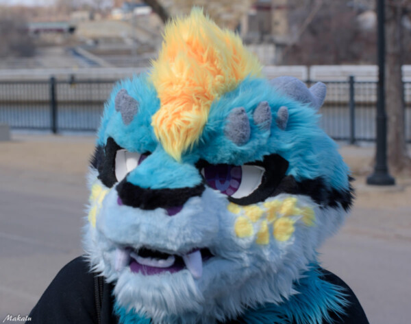 218_M7D_2668