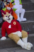 219_Fursuit Romp Mar 19 2016-668 