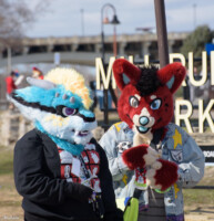 223_M7D_2770 