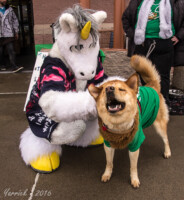 032_IMG_1692 