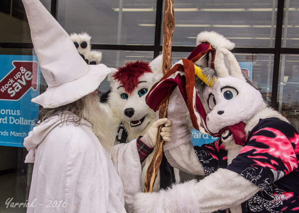 049_IMG_2390