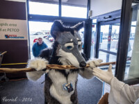 061_P3260627 