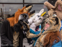 062_IMG_2035 