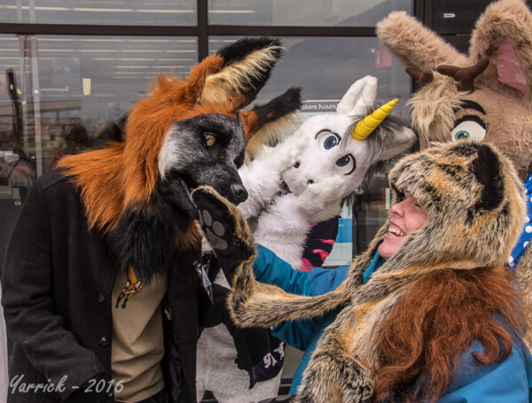062_IMG_2035