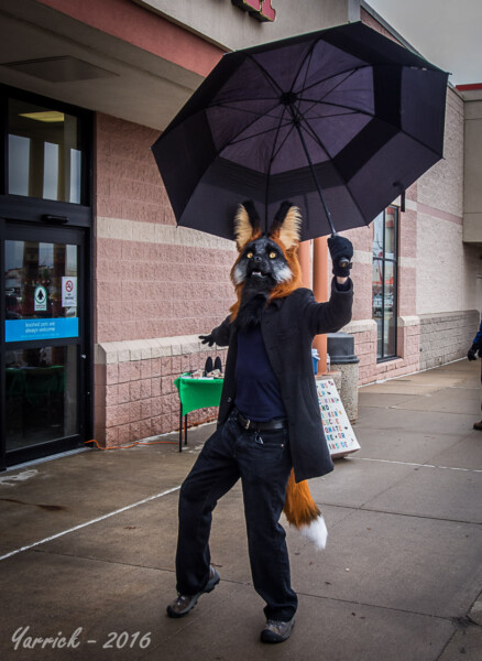 076_P3260435