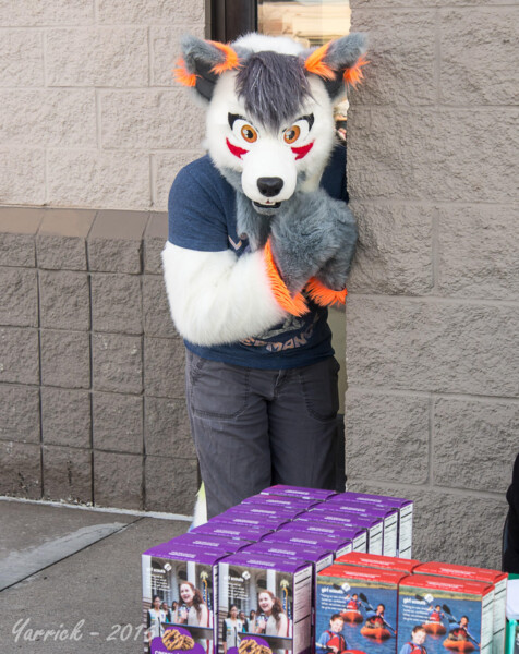 088_P3120399