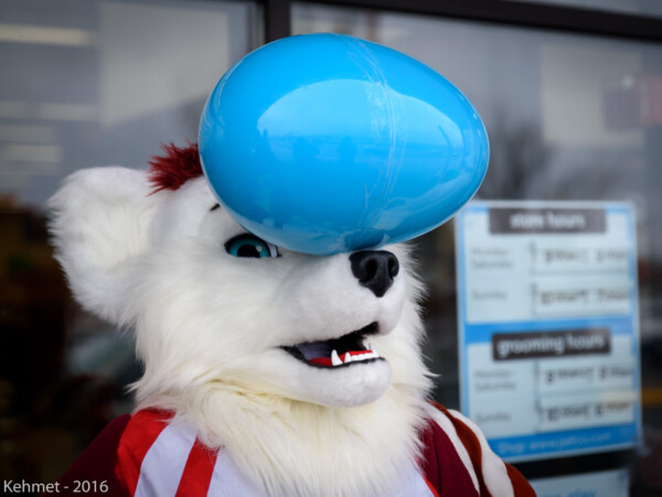 110_DSC_4441