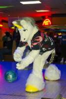 0071_MN Furs Bowling May 7 2016-287 