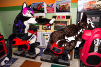 0288_IMG_6536 