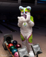 0320_IMG_6335 