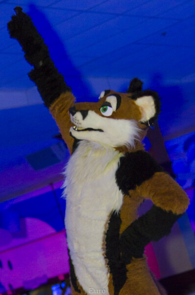 0421_MN Furs Bowling May 7 2016-532
