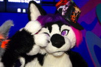 0594_MN Furs Bowling May 7 2016-184 
