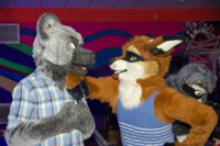 0656_MN Furs Bowling May 7 2016-013 