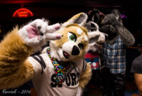 0693_IMG_6574 