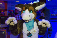 0716_MN Furs Bowling May 7 2016-220 