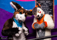 0734_IMG_6501 