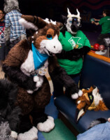 0778_IMG_6590 