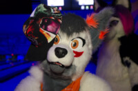 0858_MN Furs Bowling May 7 2016-188 
