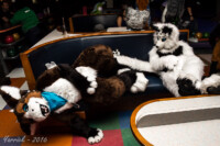 0983_IMG_6384 