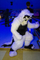 1112_MN Furs Bowling May 7 2016-225 