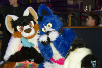 1134_MN Furs Bowling May 7 2016-553 