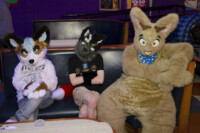 1177_MN Furs Bowling May 7 2016-481 