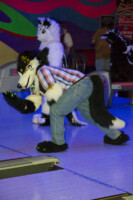 1250_MN Furs Bowling May 7 2016-302 