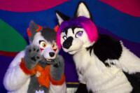 1269_MN Furs Bowling May 7 2016-212 