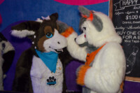1351_MN Furs Bowling May 7 2016-351 