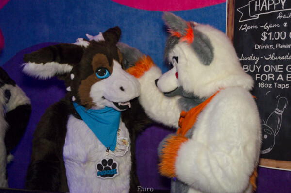 1351_MN Furs Bowling May 7 2016-351