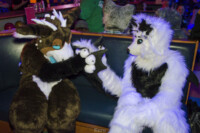 1501_MN Furs Bowling May 7 2016-180 