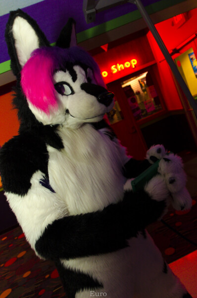 1584_MN Furs Bowling May 7 2016-407